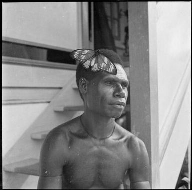 Aiau [?], the Chinnery's garden boy, scraping coconut, Malaguna Road, Rabaul, New Guinea, ca. 1936 / Sarah Chinnery