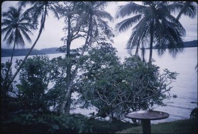 Looking from Julie Hansen's guest house, close to the water : Samarai, D'Entrecasteaux Islands, Papua New Guinea, June 1956 / Terence and Margaret Spencer