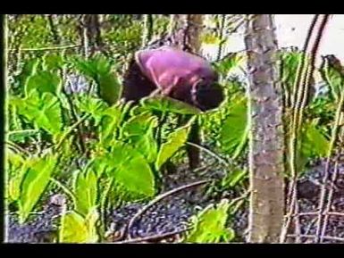 Lutok Koban Alele Cultural Celebration 1994