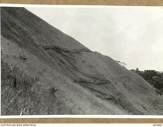 SHAGGY RIDGE AREA, NEW GUINEA. 1944-01-10. NATIVE CARRIERS MOVING DOWN THE TRAIL FROM THE 2/9TH INFANTRY BATTALION HEADQUARTERS TO GUY'S POST