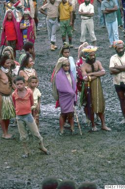 ["fotbollsmatch, åskådare, fotografi, photograph"]