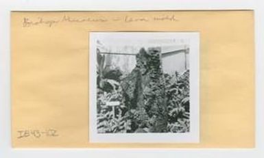[Lava mold in Hawaii, envelope IE43-102]