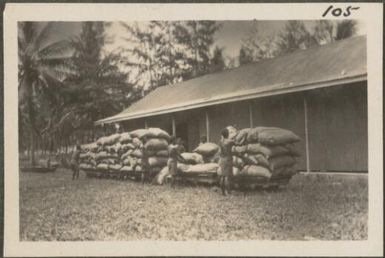 Taking copra from the store, Rabaul, New Britain Island, Papua New Guinea, probably 1916