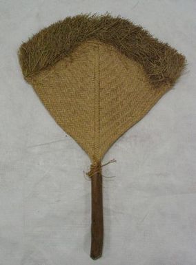 Tā'iri (fan)