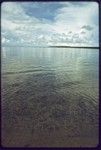 Shallow lagoon, island in distance