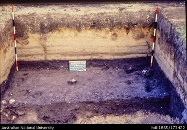 Rectangle IV with features at base of Zone C-1, shows ash fall stratigraphy above very well