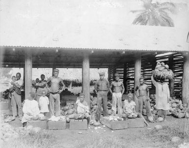 Solomon Islanders in Samoa