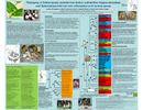 Phylogeny of Celastraceae (spindle-tree family) subfamilies Hippocrateoideae and Salacioideae inferred from chloroplast and nuclear genes