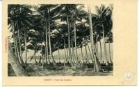 Tahiti. - Sous les cocotiers