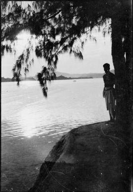Man standing under a casuarina tree next to a body of water, Papua, ca. 1923 / Sarah Chinnery