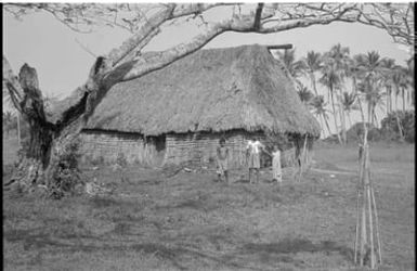 Fieldwork in Fiji