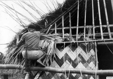 cover, building, breeding, photography,
