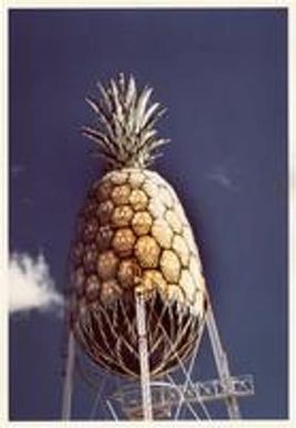 Water tower in shape of a pineapple
