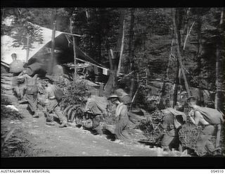 Mubo-Salamaua Area, New Guinea. 1943-07-21. Signalmen from 17th Australian Infantry Brigade, 6th Australian Division, AIF, arrive at their camp after carrying food supplies from an aircraft ..