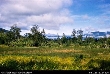 Mt Hagen - Mt Giluwe - 11,000 feet