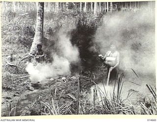1943-04-14. NEW GUINEA. MOSQUITO CONTROL. NATIVE BOYS EACH WEEK SPRAY ALL CREEK MARGINS, WATER HOLDS, WHEEL RUTS, WATER LOGGED TRACKS, ETC. IN 1942-12, MALARIA INCIDENCE RESULTED IN 8.9% OF TROOPS ..
