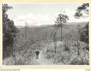 PAPUA, NEW GUINEA. 1942-10. A VIEW OF THE COUNTRY IN THE OWEN STANLEY RANGES, TAKEN FROM A HIGH POINT OF THE TRUCK NEAR NAURO, WHERE THE JUNGLE OPENS OUT AND PERMITS THIS VISTA ACROSS THE RIDGES TO ..