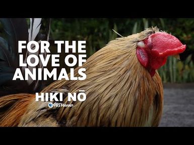 For the Love of Animals | HIKI NŌ on PBS HAWAIʻI