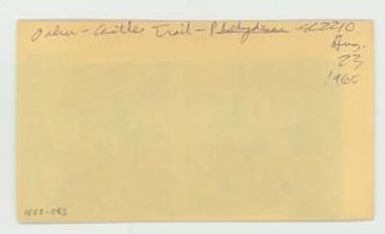 [Platydesma in Hawaii, envelope IE28-083]