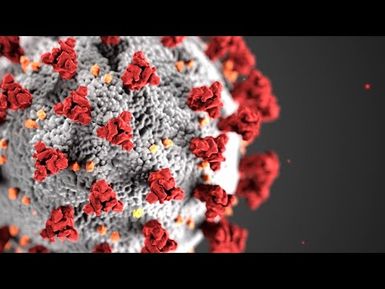 COVID-19 in Hawaiʻi: STAY ALERT, STAY INFORMED, STAY HEALTHY | INSIGHTS ON PBS HAWAIʻI