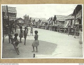 KONEKARU, PAPUA. 1943-12-02. GENERAL VIEW OF A SECTION OF THE VILLAGE. THIS VILLAGE WAS BUILT ESPECIALLY TO ACCOMMODATE THE EVACUATED NATIVES FROM PAROBADA VILLAGE IN THE PORT MORESBY AREA