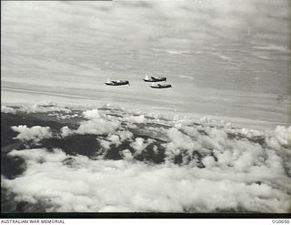 NEW GUINEA. 1944-02-27. IN FLIGHT VULTEE VENGEANCE DIVE BOMBER AIRCRAFT OF NO. 24 SQUADRON RAAF CLIMBING TO HEIGHT ABOVE THE CLOUDS EN ROUTE TO BOMB THE JAPANESE-HELD AIRSTRIP AT ALEXISHAFEN ON THE ..