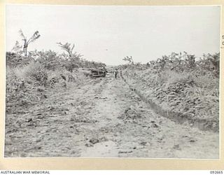 MINGA CREEK, WEWAK AREA, NEW GUINEA. 1945-05-30. A BULLDOZER OF 2/2 FIELD COMPANY ROYAL AUSTRALIAN ENGINEERS, WIDENING A PARTLY CONSTRUCTED ROAD NEAR WIRUI MISSION. THIS WAS ORIGINALLY A JAPANESE ..
