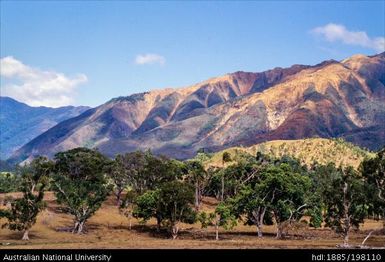 New Caledonia - Countryside near Thio