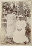 Native Belles, Rarotonga