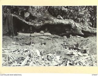 TSIMBA AREA, BOUGAINVILLE ISLAND. 1945-02-07/06. COOKS AND MESS ORDERLIES OF HEADQUARTERS, 31/51ST INFANTRY BATTALION TAKE COVER IN THEIR AIR RAID TRENCHES DURING AN ALERT