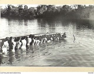 MILILAT, NEW GUINEA. 1944-10. TROOPS OF HQ 4 ARMOURED BRIGADE PLACING COCONUT LOGS INTO POSITION DURING THE CONSTRUCTION OF A DIVING JETTY