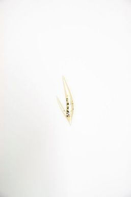 Fish hook