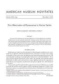 First observation of fluorescence in marine turtles