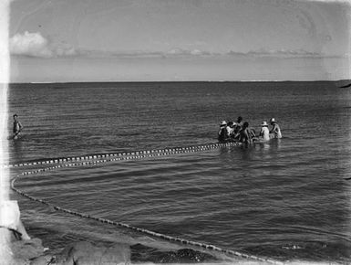 [Group of Pacific Island people fishing with net along coast]