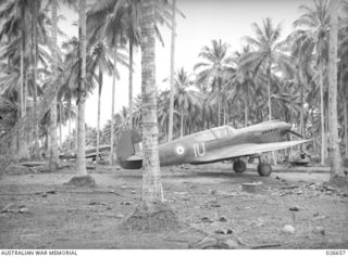 MILNE BAY, PAPUA. 1942-09. KITTYHAWK FIGHTER PLANES OF THE RAAF IN DISPERSAL BAYS ON THE MAIN "STRIP" AT MILNE BAY. THE DROME WAS LITERALLY CARVED OUT OF A THICK COCONUT PLANTATION