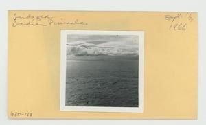 [Birds in Hawaii, envelope IE30-123]