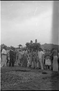 Fieldwork in Fiji