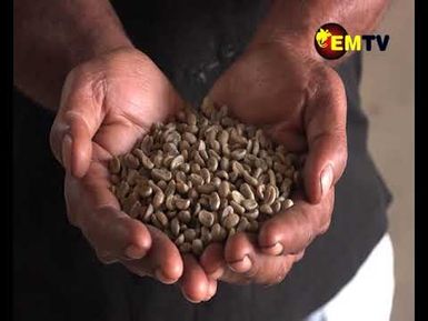 COFFEE PLAN 2024