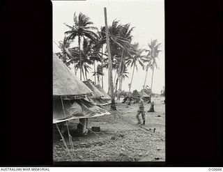 NADZAB, NEW GUINEA. C. 1944-02. NO. 24 MEDICAL CLEARING STATION RAAF TENT WARDS AMIDST THE PALM TREES. THIS IS A RAAF HOSPITAL WITH SIXTY BEDS, FULLY MOBILE, AND WAS FLOWN INTO THIS AREA BY SIXTEEN ..