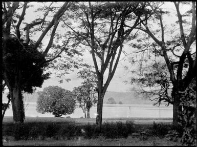 View of the harbour and the Beehives from Chinnery's front garden, Malaguna Road, Rabaul, New Guinea, ca. 1935 / Sarah Chinnery