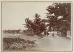 Street Scene, Apia, Samoa