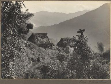 Village of Deva Deva, [Papua New Guinea] Frank Hurley