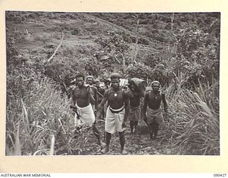 DAGUA AREA, NEW GUINEA. 1945-04-04. A NATIVE FOOD LINE, ESCORTED BY 2/3 INFANTRY BATTALION TROOPS, COMMENCING THE LONG AND TEDIOUS CLIMB OVER "1410" FEATURE TO THE MABAM RIVER CARRYING STORES FOR ..