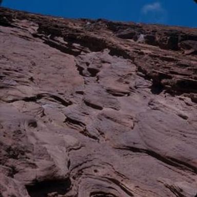 [Lava beds at Koko Head Crater, United States]