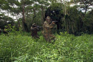 Two US Marine Corp (USMC) Marines of 3rd Battalion, 3rd Marine Regiment, Marine Corps Base Hawaii (MCBH), with their 5.56 mm M16A2 rifles, move through an area during a training exercise on the island of Oahu, Hawaii (HI)