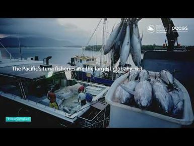 Ocean Science Fact: Pacific Tuna Fisheries