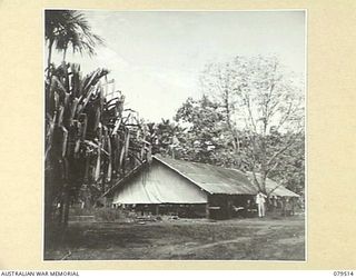 KAMKAMBUN, NEW GUINEA. 1943-10. THE MEDICAL WAR, LAE CASUALTY CLEARING STATION. THE MAIN DRESSING STATION WAS SET UP BY INSTRUCTIONS FROM THE ASSISTANT DIRECTOR OF MEDICAL SERVICES, 5TH DIVISION, ..