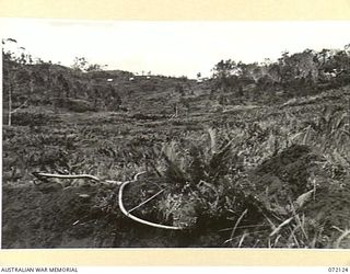 FINSCHHAFEN AREA, NEW GUINEA. 1944-04-09. THE 15TH MALARIA CONTROL UNIT CAMP SITE ON THE HILL IN THE BACKGROUND. IT IS VIEWED FROM A GULLY CONTAINING NUMEROUS POOLS WHICH OFFER NATURAL BREEDING ..