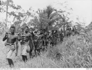 BUKAUA, NEW GUINEA, 1943-10-18. NATIVE CARRIERS OF THE 29/46TH AUSTRALIAN INFANTRY BATTALION TRANSPORTING LOADS OF RATIONS AND AMMUNITION