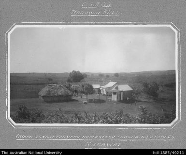 Rarawai Mill - Indian tenant farmer's homestead, including stables